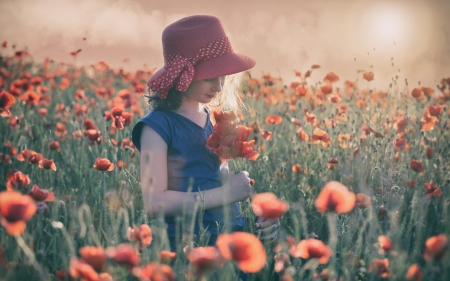 Little Girl - poppy field, meadow, girl, hat