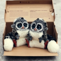 Twin Monster Pets