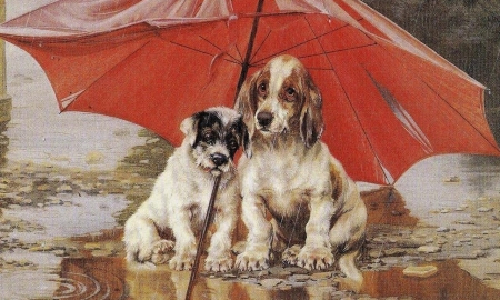 Love under rain - couple, dog, umbrella, rain