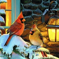 Christmas cardinals