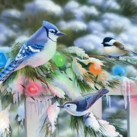 Holiday birds