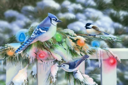 Holiday birds - holiday, winter, fence, bird