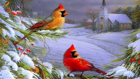 Christmas card - church, cardinal, winter, animal, bird, christmas