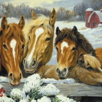 Horses