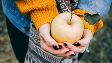 :-) - alora griffiths, hand, blue, autumn, fruit, orange, apple