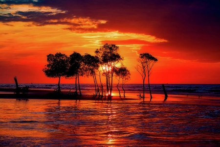 Seaside Sunset - seaside, beach, sunset, trees