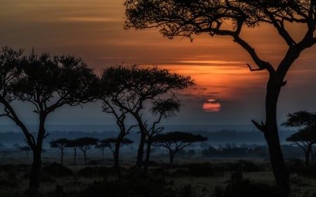 Sunset in Masai Mara Kenya - fun, sunset, nature, forest, cool