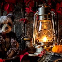 Kerosene Lamp And Teddy Bear