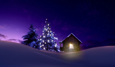 Winter night - winter, house, trees, lights