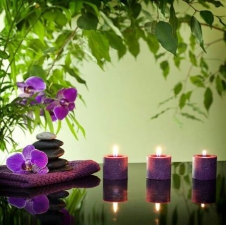 Tropical spa - Stones, Candles, Leaves, Flowers