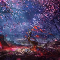 Digital Arts Forest