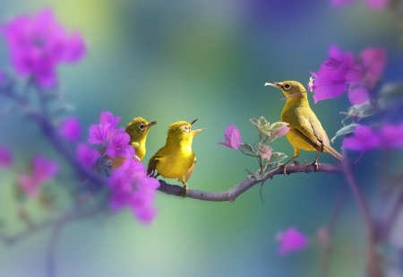 Little Birds - Branch, Nature, Flowers, Birds