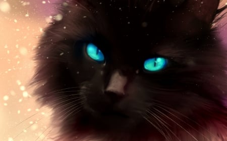 Cat - black, fantasy, sky neko, pisici, pink, luminos, cat, blue eyes