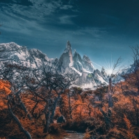 Autumn Trees and Snow Mountains