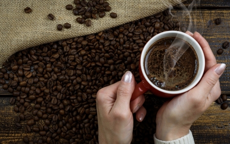 Hot Coffee - hands, coffee, hot, beans, cup