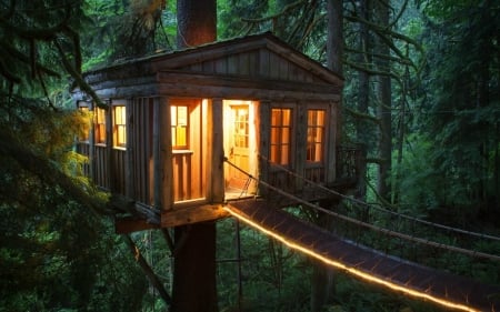 Cabin on the Tree - trees, wooden, cabin, hut, bridge