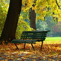 Autumn Park in Poland