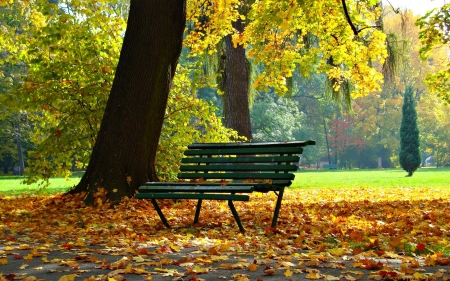 Autumn Park in Poland - bench, park, Poland, autumn