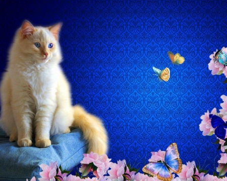 cute cat with butterflies - paintings, animals, cats, butterflies