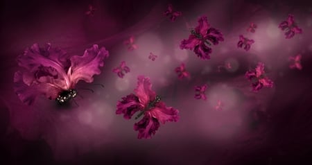 Butterflies - butterfly, pink, texture, iris, flower, fluture