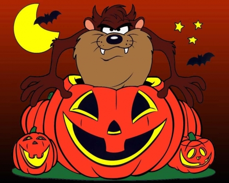 Taz in a Pumpkin - cartoon, crazyy, taz, character, pumpkin