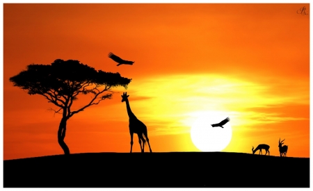 Kenya Sunset - tree, sunset, giraffe, birds