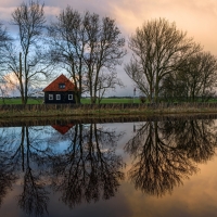 Trees Reflection in Lake