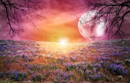 The Moon - flowers, field, trees, sky