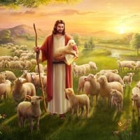 Jesus, good shepherd