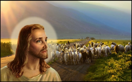 Jesus, the Lord - jesus, christ, shepherd, sheep, flock, god