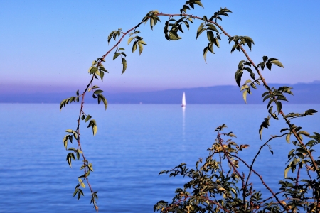 Blue water - Photograph, Lake, Boat, Spring