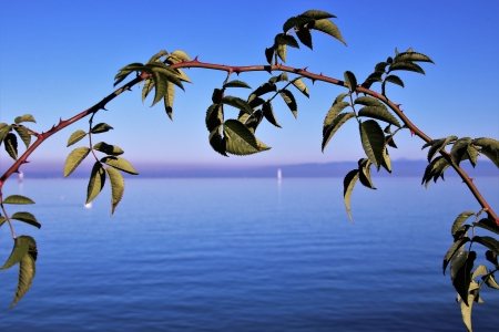 Blue sky - Horizon, Autumn, Lake, Water