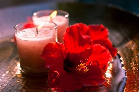 Candles and hibiscus - Stones, Candles, Spa, Flowers