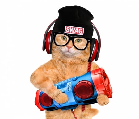 :-) - hat, blue, radio, cat, black, headphones, glasses, paw, funny, red, pisici