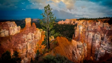 Bryce Canyon in Utah - Park, National, Bryce, Canyon, Utah