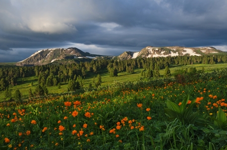 Altai Mountains in Russia - water, mountains, flowers, grass