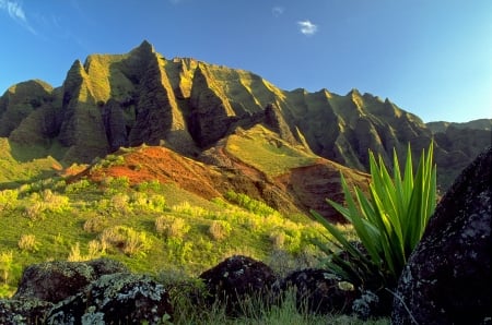 Kalalau Valley Hawaii - trees, nature, beautiful, landscape, hawaii, mountains