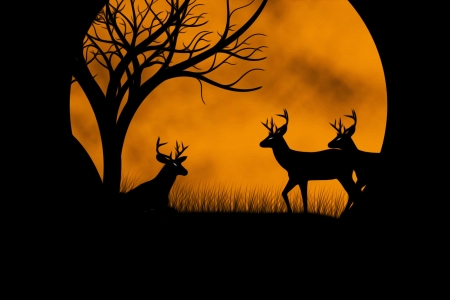 Moonlight - moon, silhouette, orange, tree, black, autumn, deer, full, luna