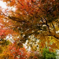 Colors Wallpapers - Page 62 - Desktop Nexus