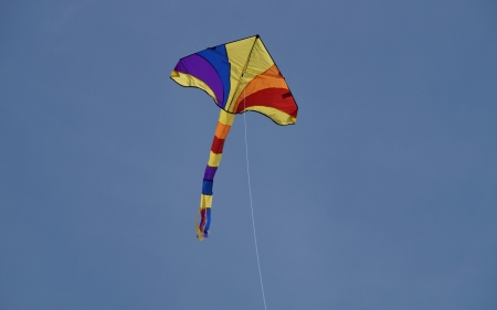 Kite - sky, toy, kite, dragon, colors