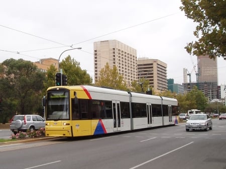 adelaide tram - buidling, street, adelaide, tram