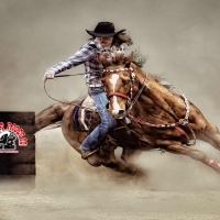 Barrel Racing Cowgirl . .