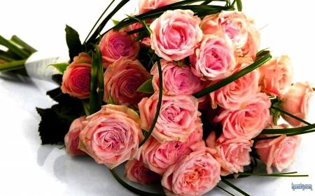 Beautiful Flowers Bouquet - flowers, plants, rose, pink