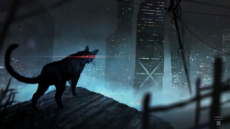 Black cat - black cat, blue, city, stephanie stutz, night, buildings, fantasy, roof, luminos