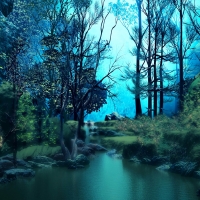 Forest pond