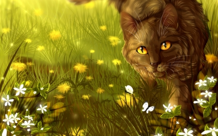 Cat - summer, flower, cat, fantasy, pisici, warriors, vara, luminos, brambleclaw