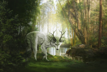 Fantasy wolf - wolf, fiirewolf, forest, luminos, lup, fantasy, horns