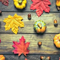 Autumn Pumpkin Nuts And Leaves