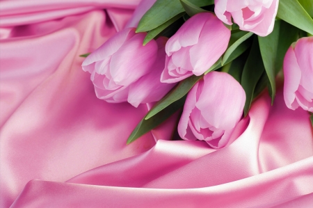 Pink sweet tulips - Pink, satin, Flowers, leaves