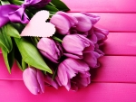 Lovely tulips